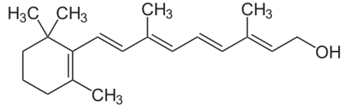 <p>Essential for vision and immune function.</p>