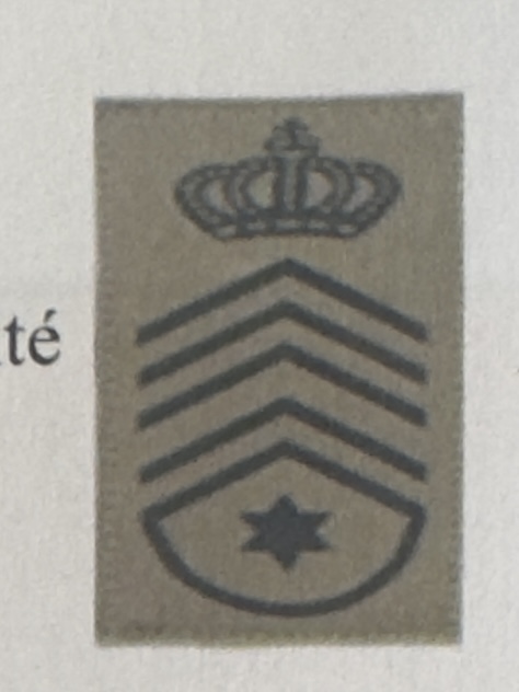 <p>Grade de fonction </p>