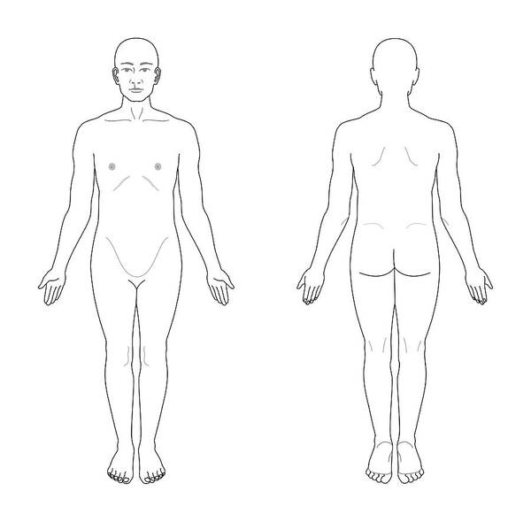 <p><span style="background-color: transparent;">standard anatomical reference position with hands at sides, palms forward and thumbs pointing away from body, feet together</span></p>