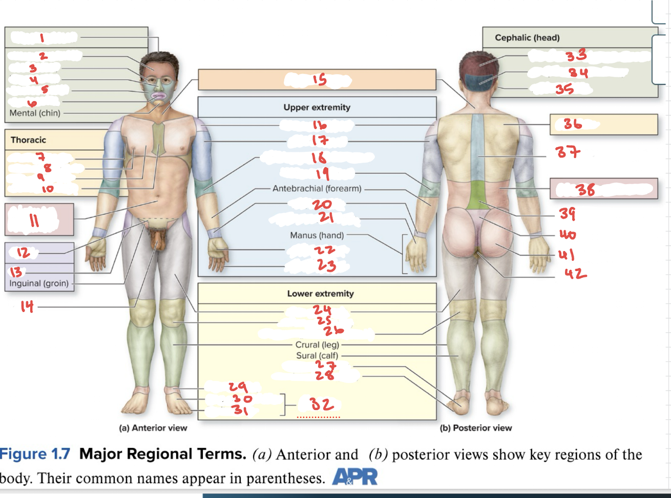 <p>What is number 10?</p>