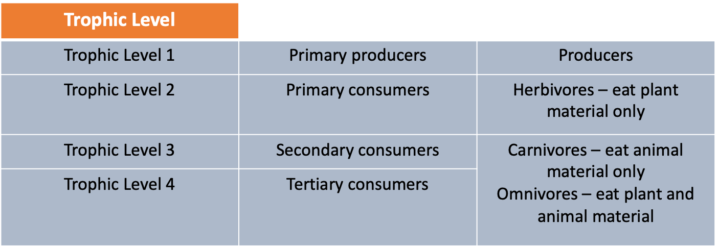 <p></p><p><span>It is a level in the food chain of an ecosystem based on feeding relationships e.g. producer, herbivore.</span></p><p></p>