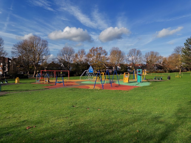 <p>park</p>