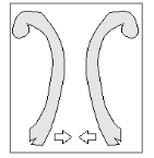 <p>What does the image represent and what are the two layers present? Identify the week of development.</p>