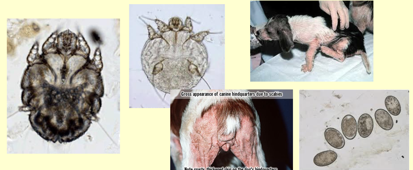<p>What is this?</p>