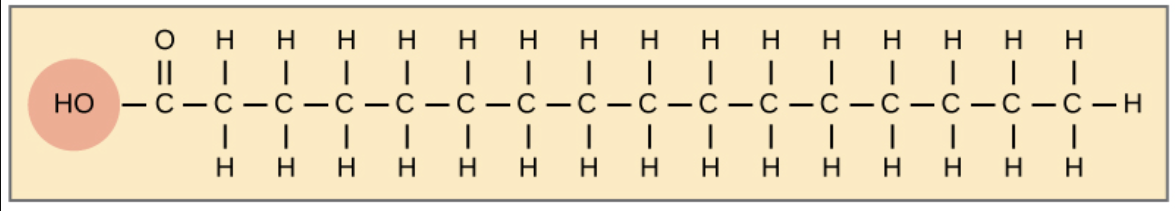 <p>What is this?</p>