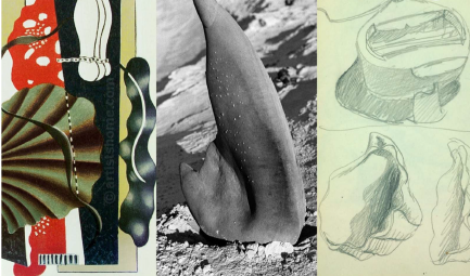 <p>Ontdekkingstocht naar wat natuur te bieden heeft</p><p>Charlotte Perriand </p><p>La corbusier </p><p>Fernand Légér - afbeelding</p>