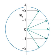 <p>what model can be used instead?</p>