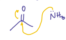 <p>Ketone + NH3</p>