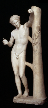 term image