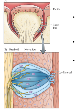 <p>What is happening in this image?</p>