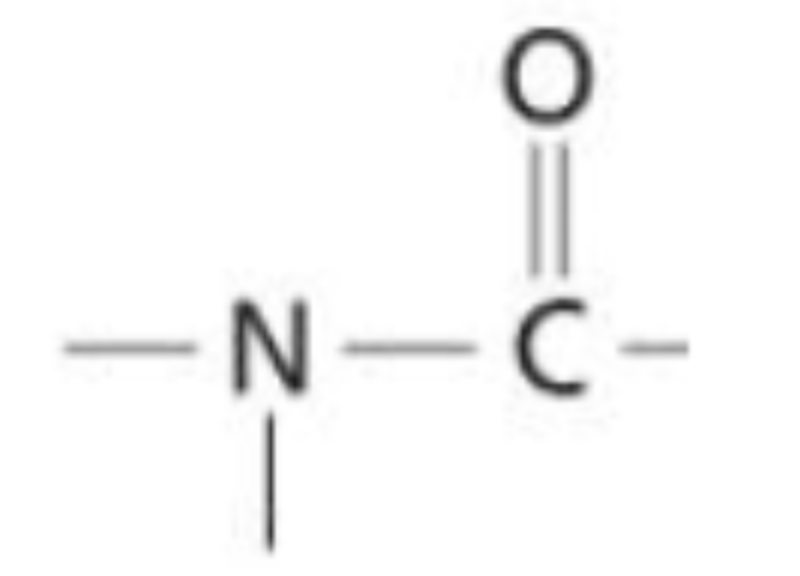 <p>A functional group consisting of an amide linkage C-N bond as well as a carbonyl</p>