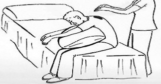 <p>what part of lungs is shaded in the image?</p>