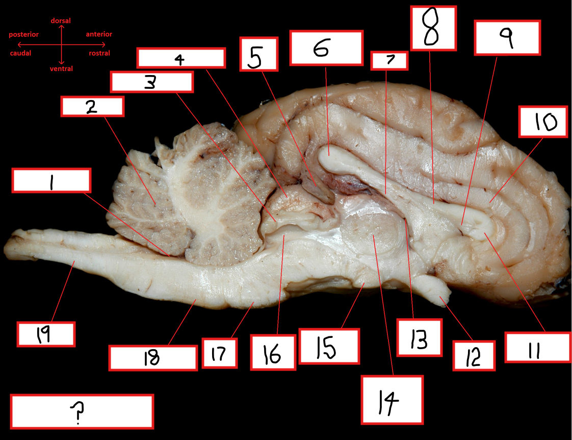 <p>4</p>