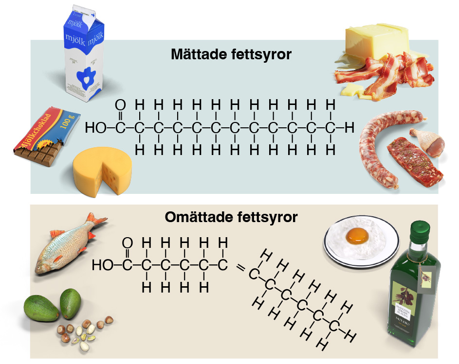 <p>Fleromättade</p>