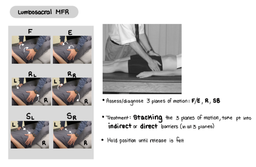 <ol><li><p>Place your palms over the lateral pelvis and simultaneously lift one side while pushing the other side posteriorly to induce lumbosacral fascia rotation.</p></li><li><p>Repeat for the other direction to identify rotational restriction and laxity.</p></li><li><p><strong>Indirect:</strong> Rotate the lumbosacral fascia to its position of laxity and follow any tissue release until completed.</p></li><li><p><strong>Direct:</strong> Rotate the lumbosacral fascia into its restriction and apply steady force until tissue give is completed.</p></li><li><p>Retest lumbosacral fascia rotation.</p></li></ol><p></p>