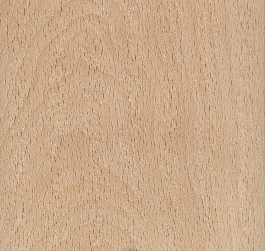 <p>Diffuse porous </p><p>Bi- and multi-seriate rays visible on X.S. </p><p>variable thickness rays more irregularly spaced</p><p>wider spaced ray flecks on tangential surface</p>