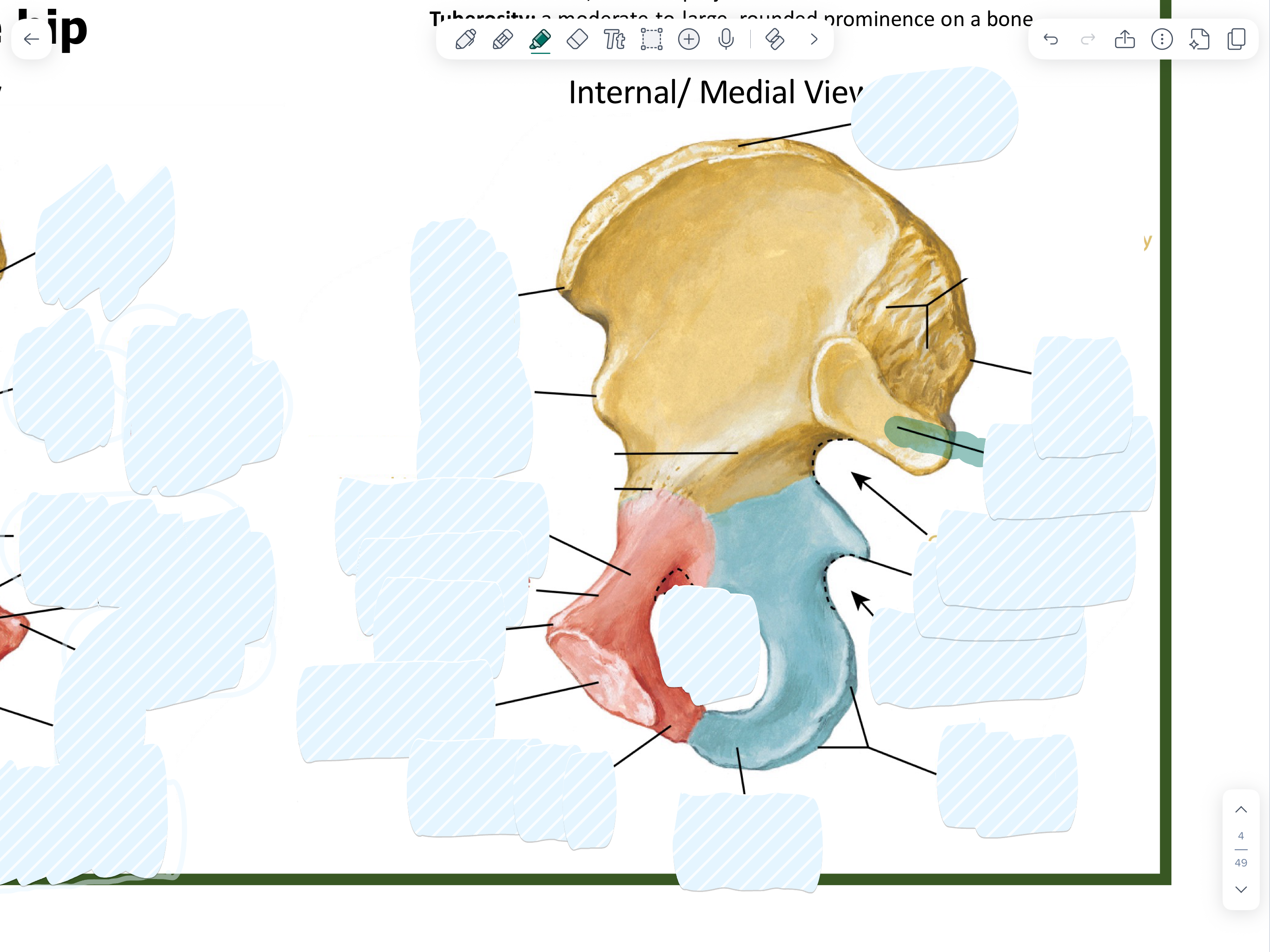 knowt flashcard image