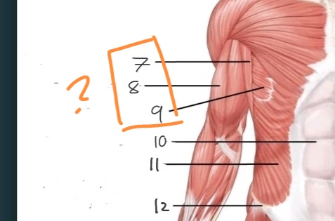 <p>What is No. 7-9?</p>