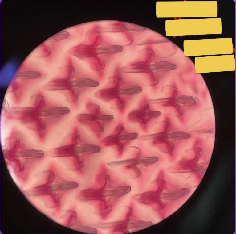 <p>What does the yellow box represent?</p>