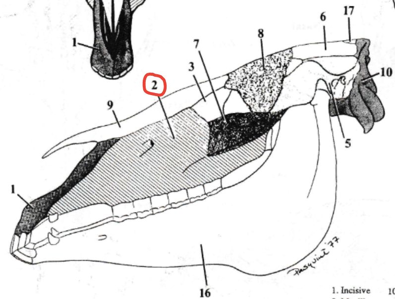 <p>What is 2</p>