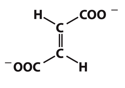 <p>What is this structure?</p>