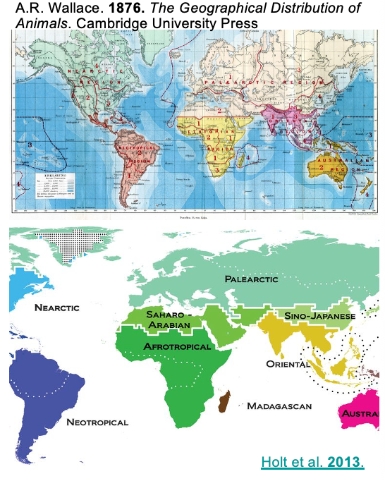 <p>modern maps</p>
