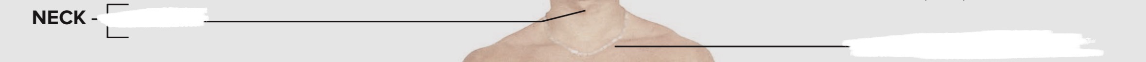 <p>Neck</p>