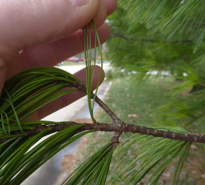<p>What is this?</p>