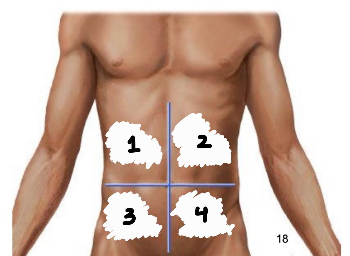 <p>Which quadrant is #1?</p>