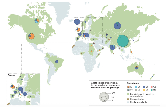 <p>Measles virus diversity and incidence</p>