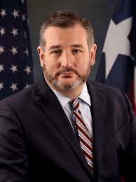 <p>Ted Cruz</p>
