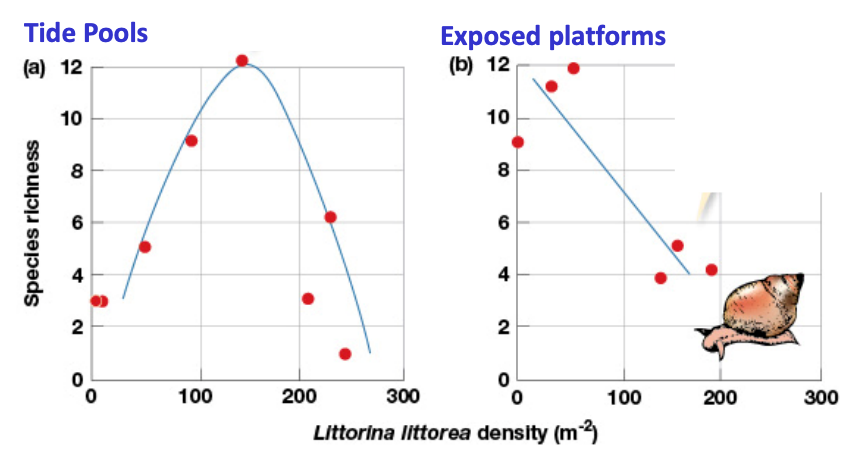 <p>On exposed platforms species richness peaks at lower snail density because the harsher environment is subject to greater environmental stressors, thereby alleviating competition</p>