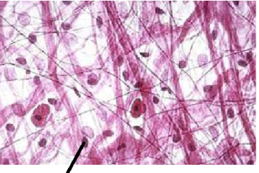 <p>ID Cell</p>