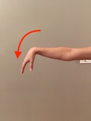 <p>muscle/capsular/ligamentous stretch (ex. wrist flexion)</p>