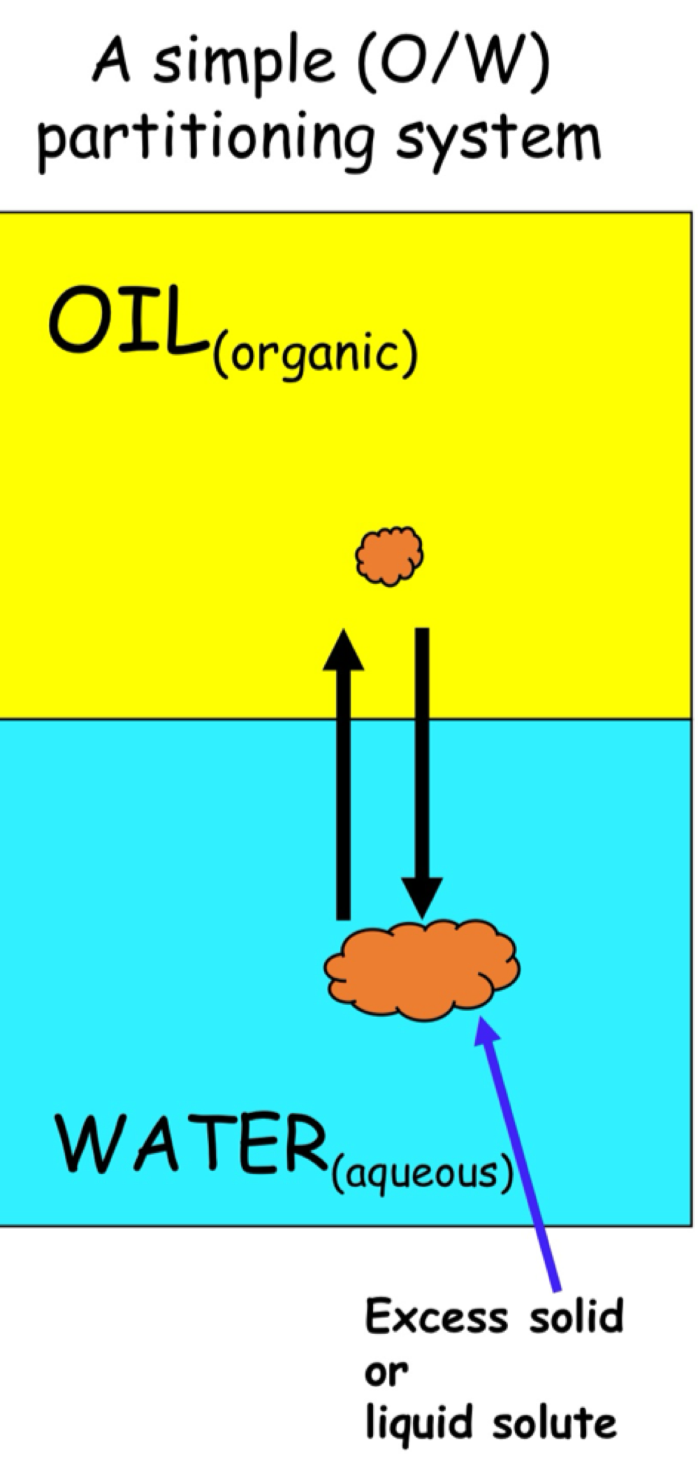 <p>process of drug’s movement over time across membrane</p><p>= distribution of molecule ( solutes ) b/w immiscible solvent</p><p><strong>S<sub>water </sub> ⇌  S<sub>oil</sub></strong></p><ul><li><p>solute distributes or partition in defines conc. ration = partition constant or partition ratio </p></li></ul><p></p>