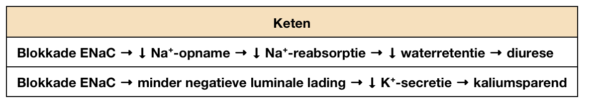 <ul><li><p><strong>triamtereen →</strong> vaak gebruikt in combi met andere diuretica om hypoK te vermijden</p><ul><li><p>remt influx Na, lading lumen word hierdoor NEG = ook H2O en calcium uitscheiden</p></li></ul></li><li><p>indicaties: oedeem ten gevolg van hartfalen of nefrotisch syndroom en bij hypertensie in combi met andere diuretica</p></li><li><p>bewerking: beenkrampen, zwakte, duizelgiheid, hoofdpijn, gastro-interstinale klachten en HYPERKALIEMIE</p></li></ul><p></p>