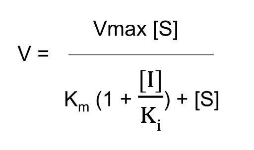 <p>V<sub>max</sub> is unchanged </p>