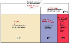 <p>3 L, 20% of ECF</p>