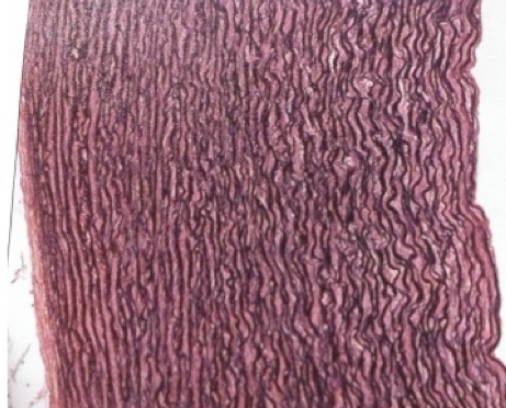 <p>What is this?</p>