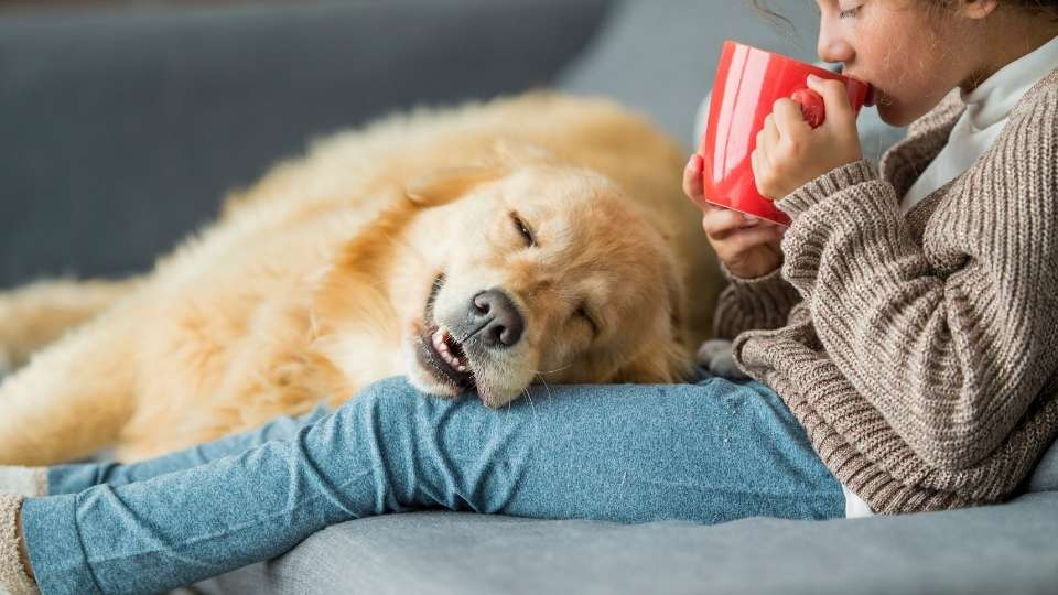 <p>comfortable</p>