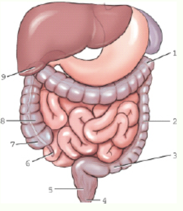 <p>Label this image.</p>