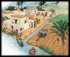 <p>They built dikes and irrigation canals to control flooding and bring water to farmlands.</p>