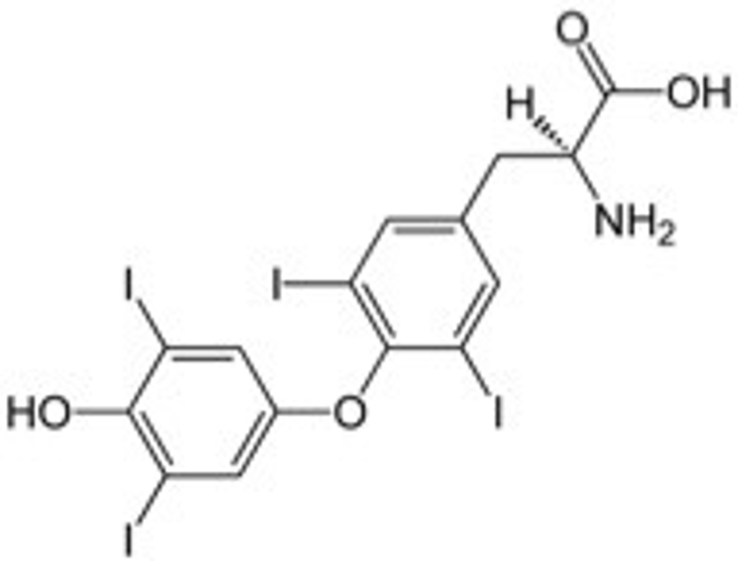 <p>- Regulates metabolic rate</p><p>- Influences the growth and functioning of the heart</p><p>- Regulates heart rate and breathing</p><p>- Promotes the normal development and functioning of the nervous system</p>