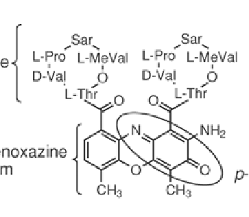 <p>what structure is this?</p>