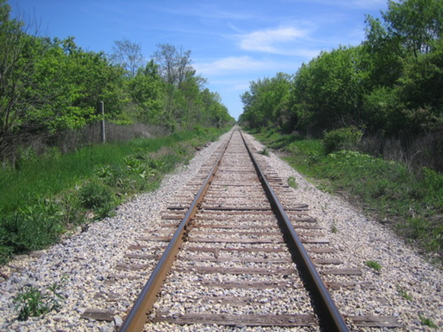 <p>une voie ferrée (infrastructure d'un chemin de fer)</p>