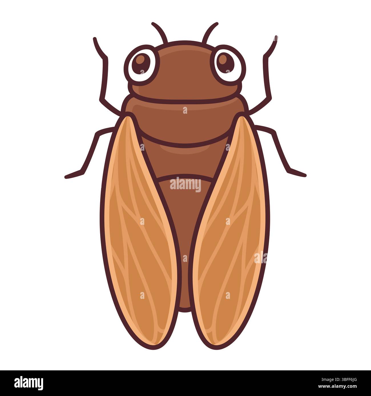 <p>cicada (n) <span style="line-height: inherit;">/sɪˈkɑːdə/ /sɪˈkeɪdə/</span></p>