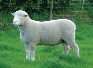 <img src="blob:null/7b8afa1b-d9c6-4d42-91b2-8eda50c1e71c"><p></p>