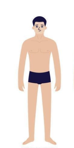 <p>which organ system is this?</p>