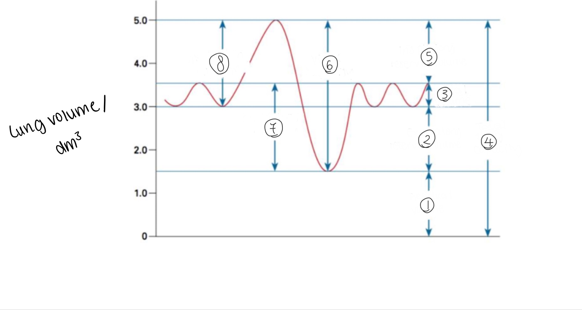 <p>Label the spirometer graph.</p>
