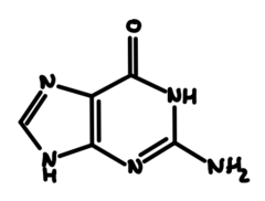 knowt flashcard image